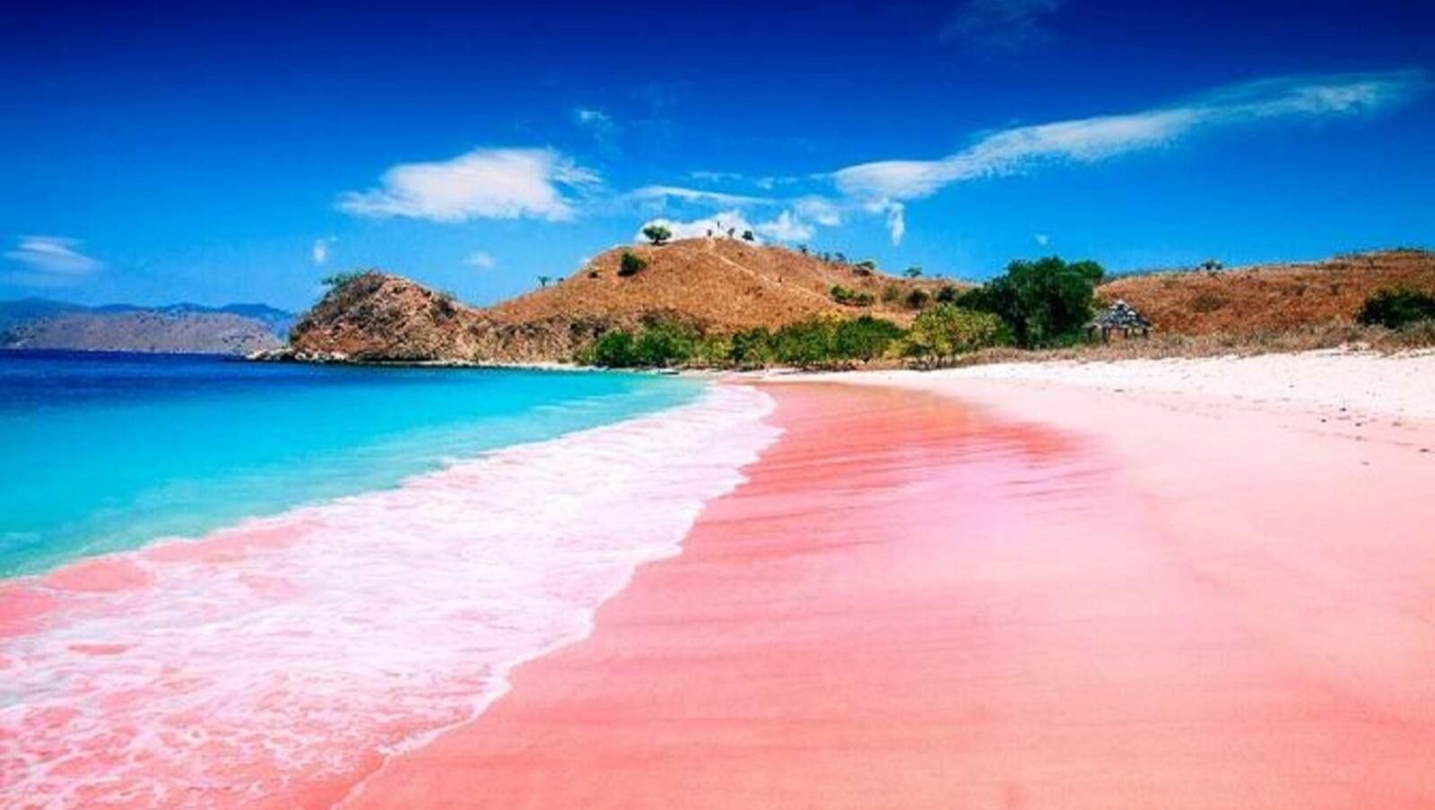 Pantai Pink Lombok Terpopuler